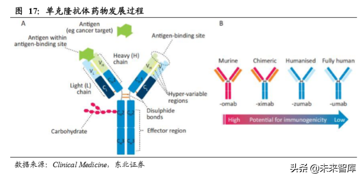 生物医药专题之单抗行业深度报告：综述篇