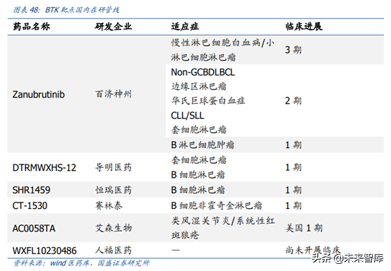 医药行业龙头恒瑞医药深度解析（74页）