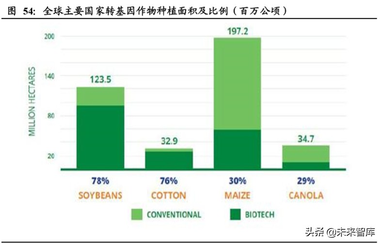 粮食供需分析及国内外种业发展对比专题报告