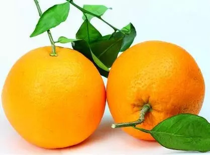 重庆哪里摘柑子_重庆摘橘子
