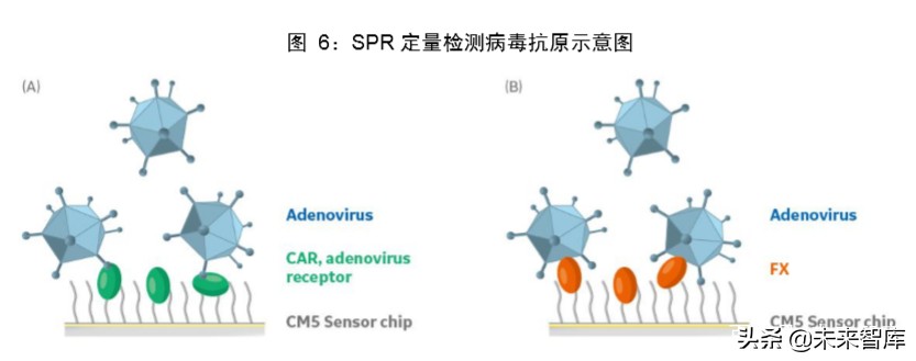 医疗检测设备专题报告：新一代SPR技术检测平台市场研究