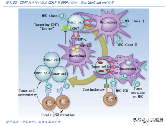 医药行业龙头恒瑞医药深度解析（74页）
