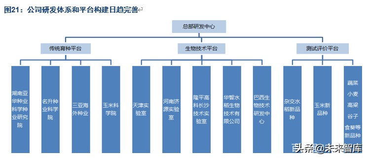 隆平高科深度解析：种质、研发优势突出，持续引领生物育种