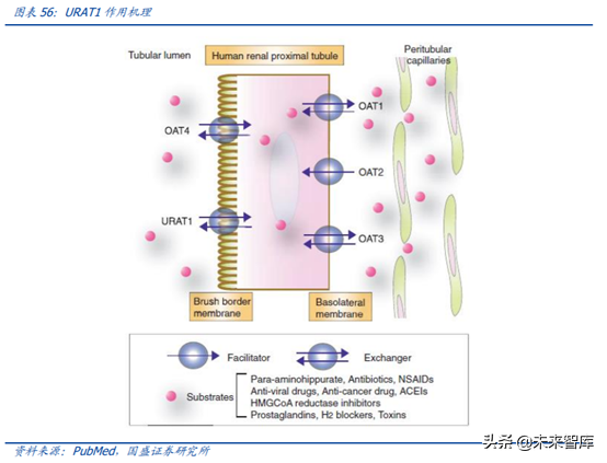 医药行业龙头恒瑞医药深度解析（74页）