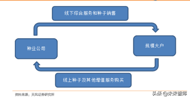 种子行业专题报告：转基因育种放开是否改变种业竞争格局？