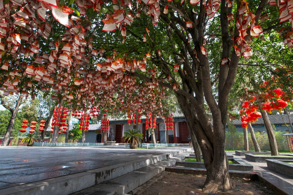 洛阳自助旅行，洛阳旅游有哪些必去景点呢？