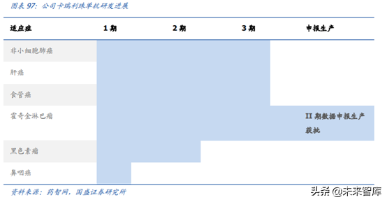 医药行业龙头恒瑞医药深度解析（74页）
