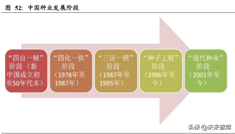 粮食供需分析及国内外种业发展对比专题报告