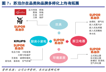 家电行业专题报告：品牌策略从单一到多元的必经之路