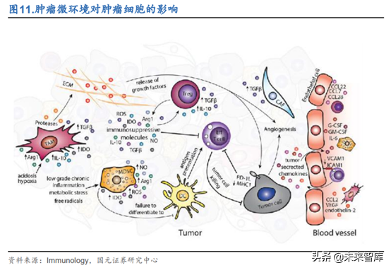 创新药之创新靶点深度研究