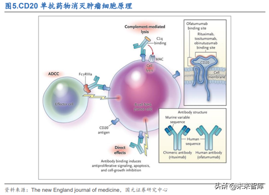 创新药之生物类似药深度研究