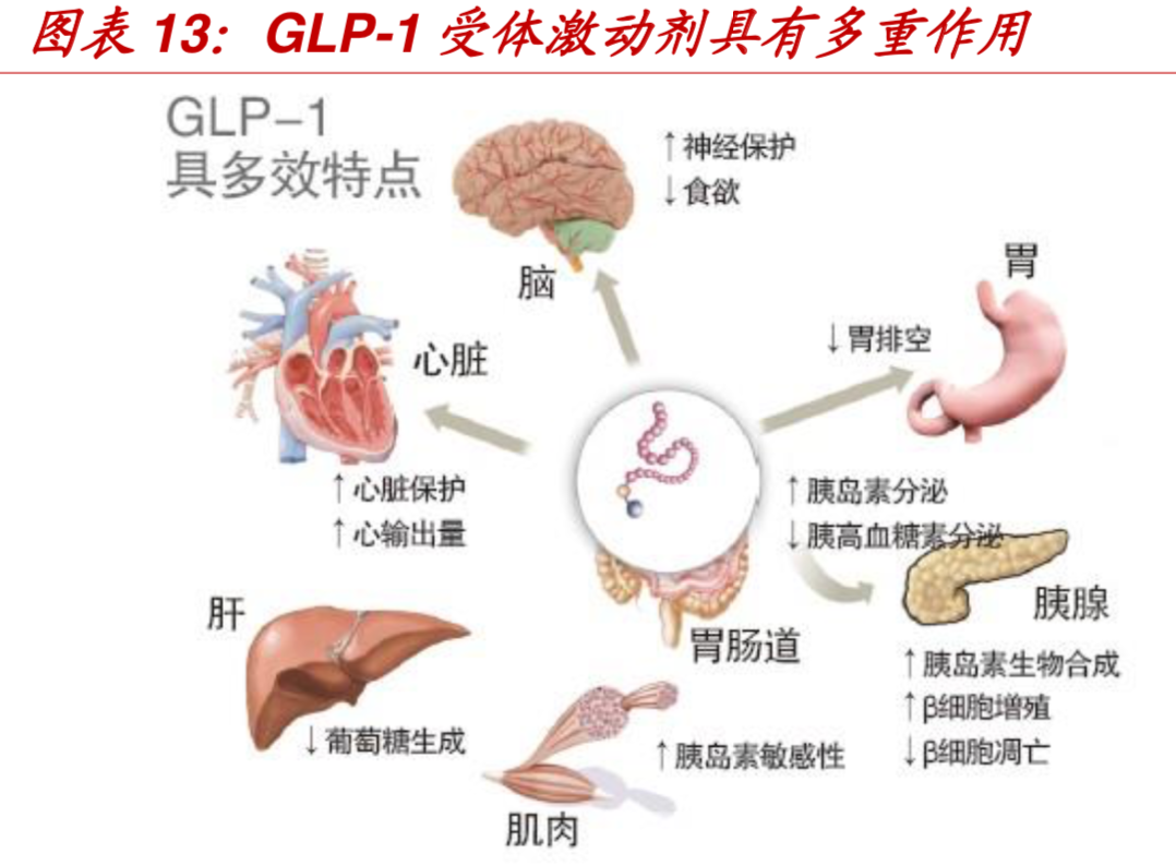 创新药全球发展趋势及国内发展机会分析