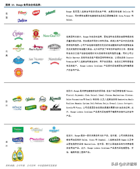 四大粮商之邦吉深度解析