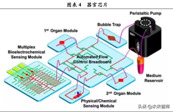 体外诊断行业专题报告：微流控芯片，高精度+自动化的新蓝海
