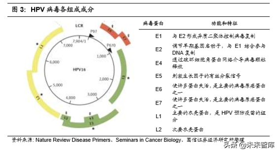 医疗行业专题：核酸分子诊断龙头凯普生物深度解析