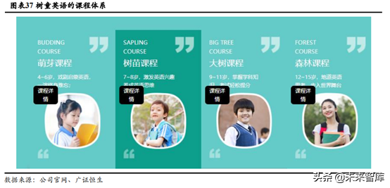 少儿英语培训行业深度研究：刚需造就千亿赛道