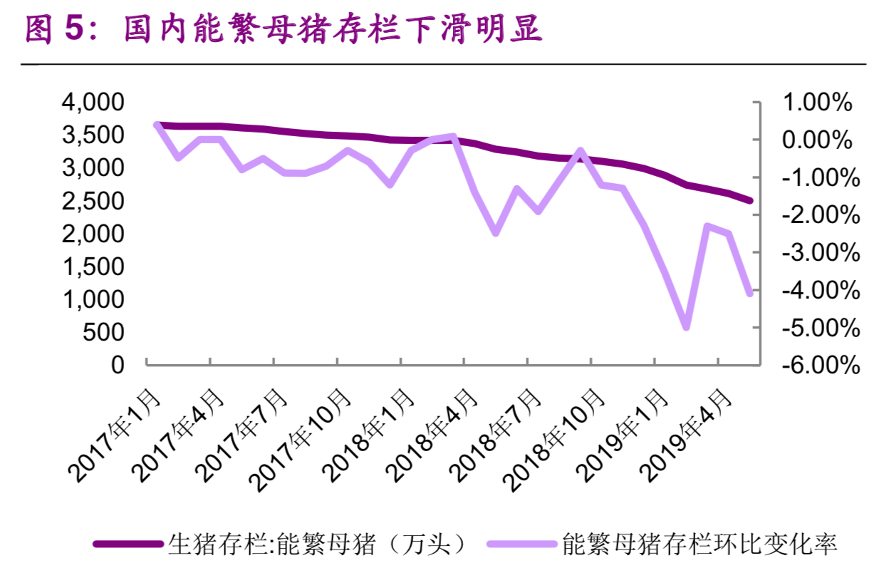 维生素E行业研究及投资价值分析报告