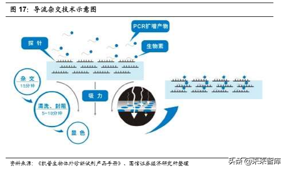 医疗行业专题：核酸分子诊断龙头凯普生物深度解析