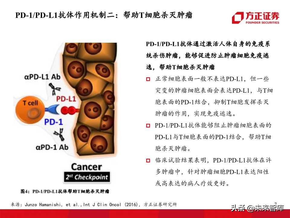 单抗药物专题报告：PD1、PDL1抗体开启肿瘤治疗新华章