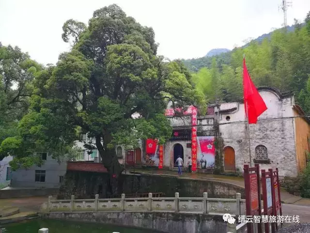 明天丽水各大景区免费玩、优惠玩，全攻略请收好！