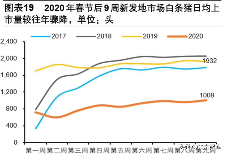 双疫情下中国生猪产业链专题报告