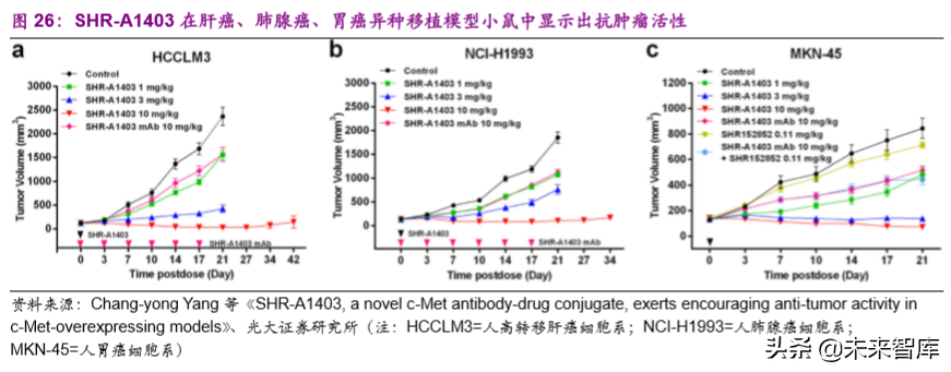 创新药专题：抗体偶联药物，靶向递送毒性小分子的生物导弹