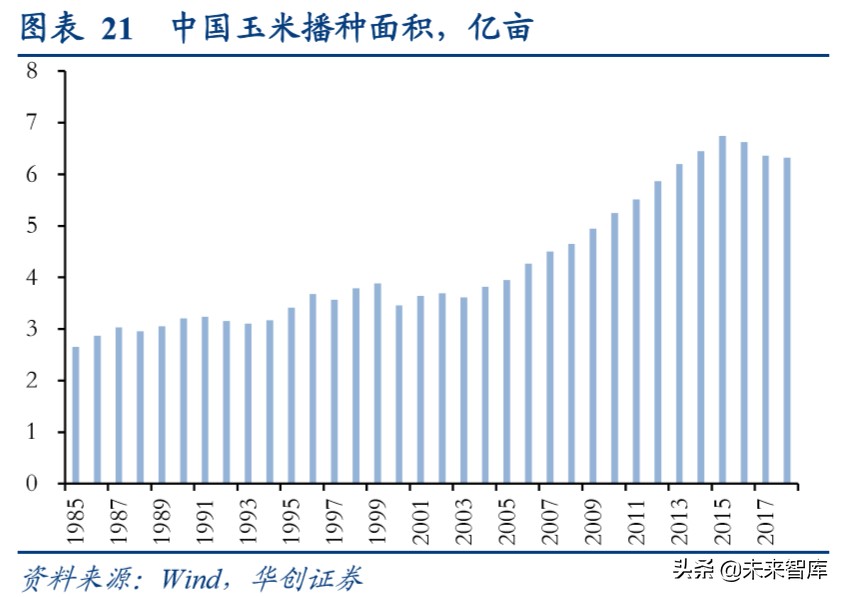 种业专题报告：转基因玉米商业化渐近，龙头公司共享行业扩容