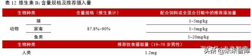 维生素行业深度报告：13个主要维生素品种生产工艺与市场格局解析
