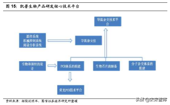 医疗行业专题：核酸分子诊断龙头凯普生物深度解析