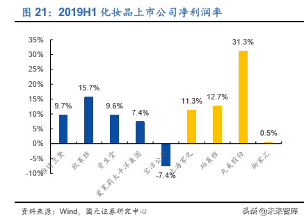 化妆品行业专题报告：深度比较国内外化妆品公司