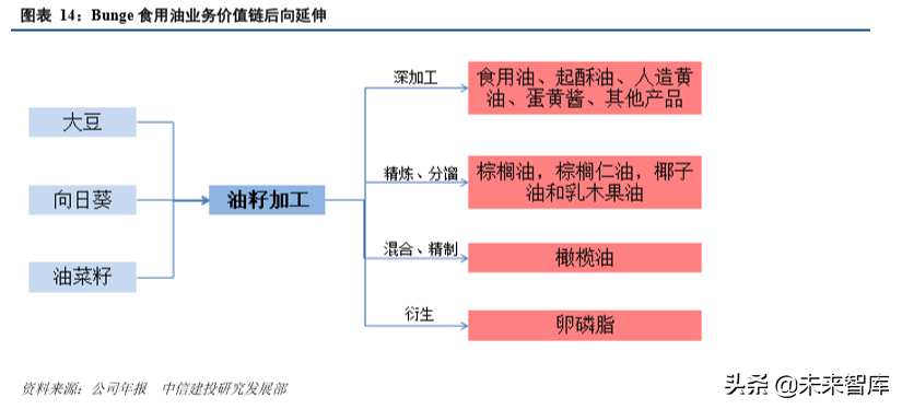 四大粮商之邦吉深度解析