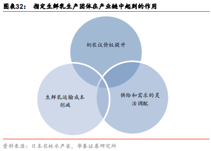 中國乳業(yè)及伊利股份深度研究報(bào)告
