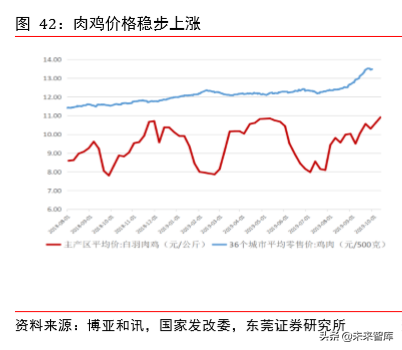 动物保健专题报告：补栏需求迫切，动保行业迎机会