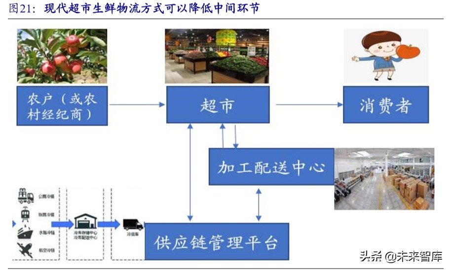 生鲜行业深度报告：万亿市场百家争鸣，供应链能力是致胜关键