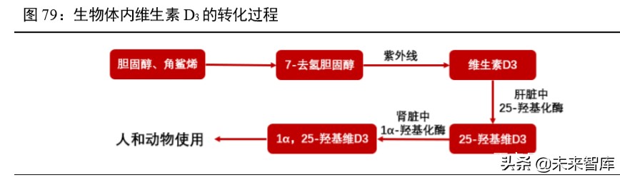 维生素行业深度报告：13个主要维生素品种生产工艺与市场格局解析