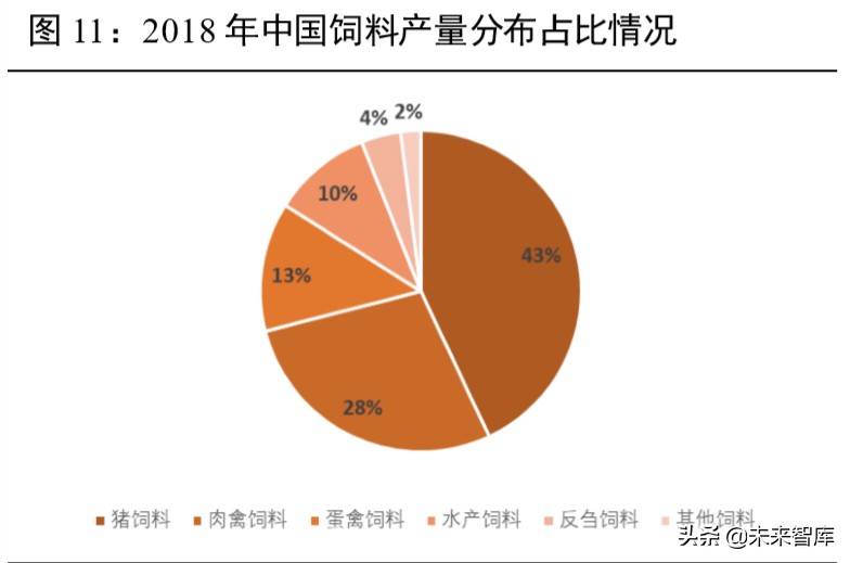 维生素行业深度报告：13个主要维生素品种生产工艺与市场格局解析