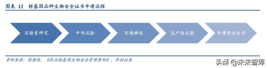 种业专题报告：转基因玉米商业化渐近，龙头公司共享行业扩容