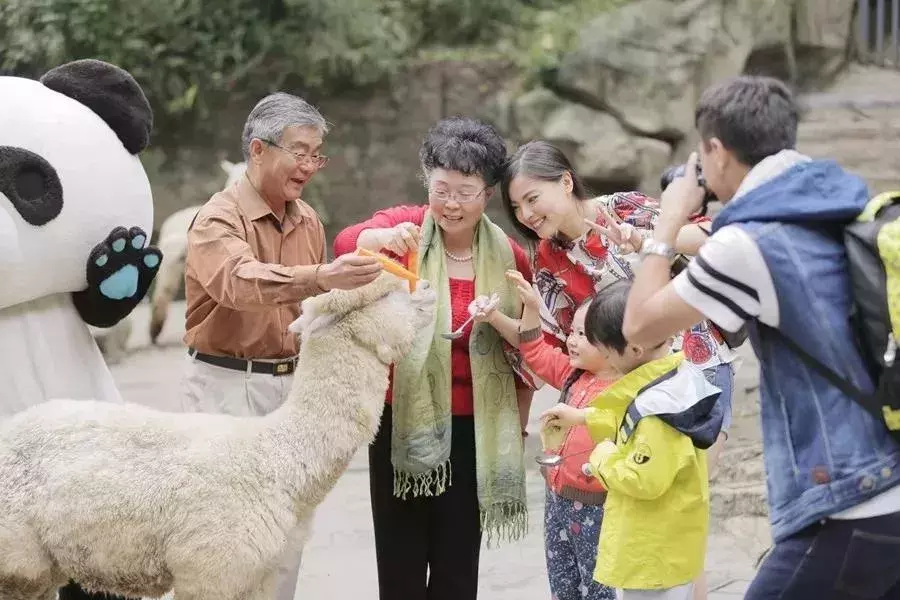 雅安碧峰峡本地人门票多少钱_雅安碧峰峡旅游攻略