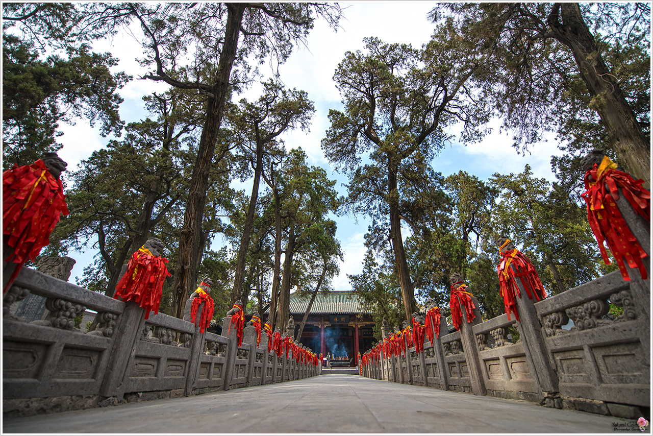 洛阳自助旅行，洛阳旅游有哪些必去景点呢？