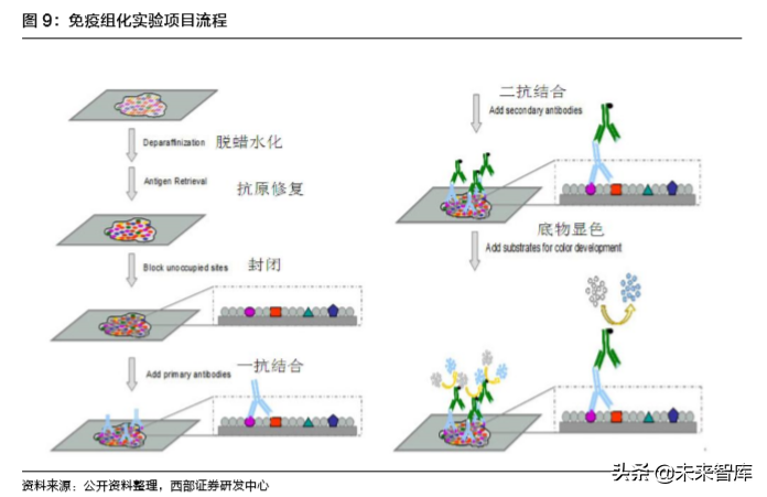 病理检测与诊断行业深度研究报告