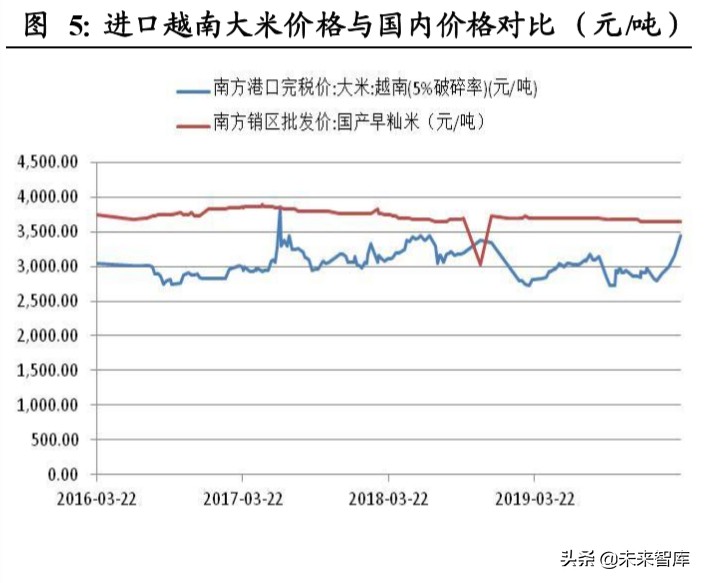 粮食供需分析及国内外种业发展对比专题报告
