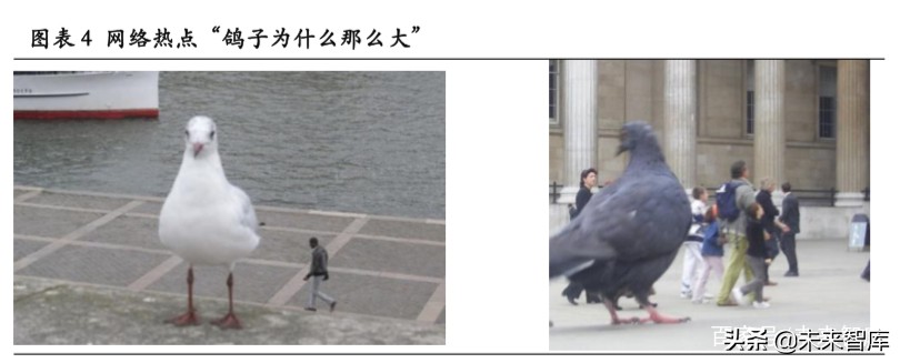 3D传感行业专题报告：下一代图像传感升级方向、AR定位底层技术