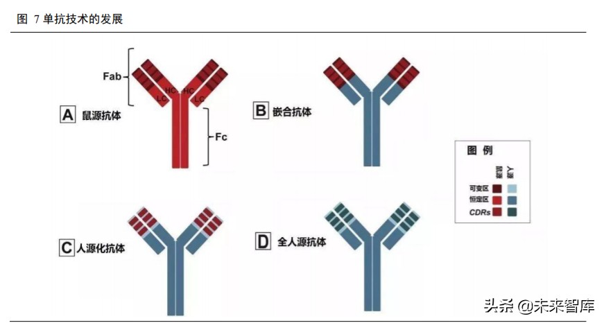 高端生物药之单抗行业深度报告