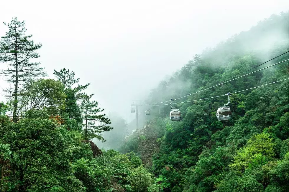 明天丽水各大景区免费玩、优惠玩，全攻略请收好！