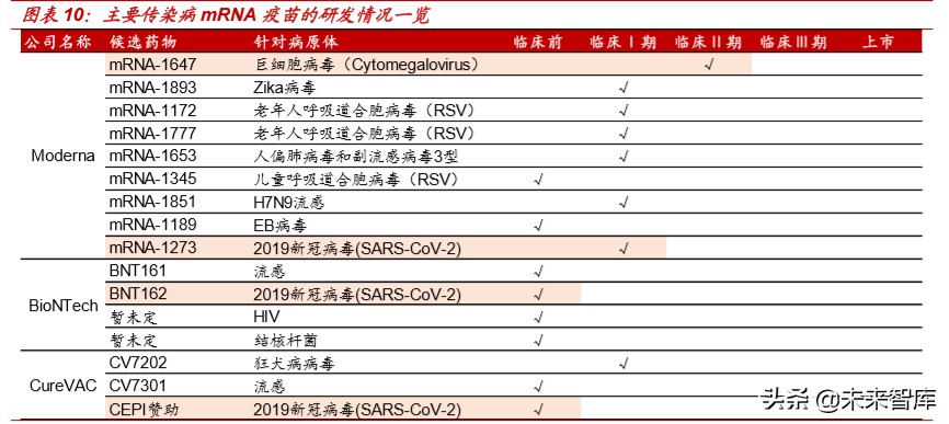 新冠病毒疫苗专题报告：mRNA疫苗究竟是“何方神圣”？