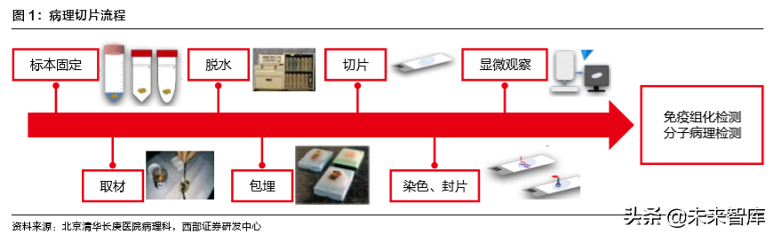 病理检测与诊断行业深度研究报告