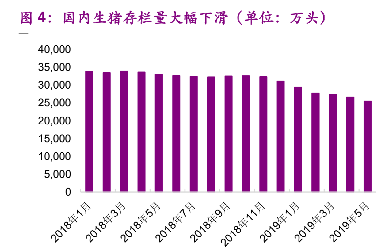 维生素E行业研究及投资价值分析报告