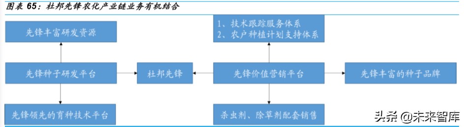 种业深度研究：乘转基因之风，国内种业加速整合发展