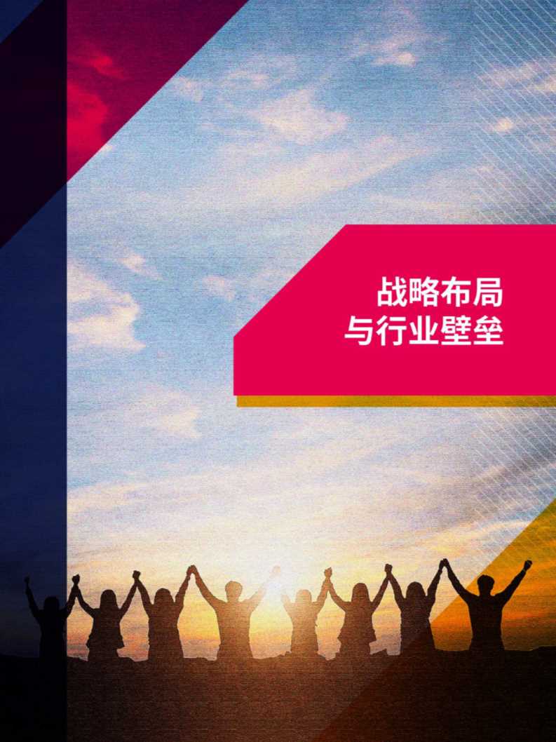 2020中国薪酬服务市场分析报告