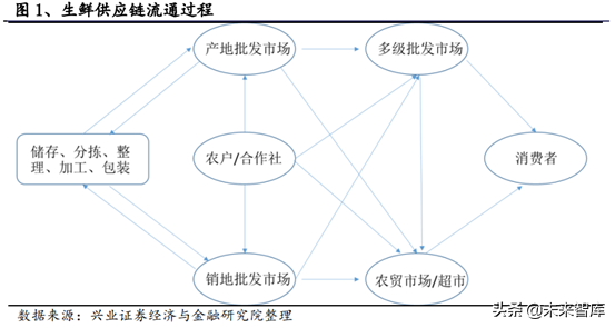 生鲜供应链行业深度研究报告